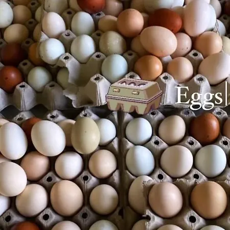 Gli Orti Della Civera 